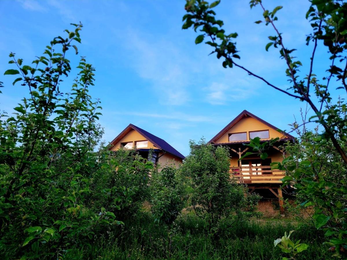 Casa David Villa Plai  Eksteriør billede