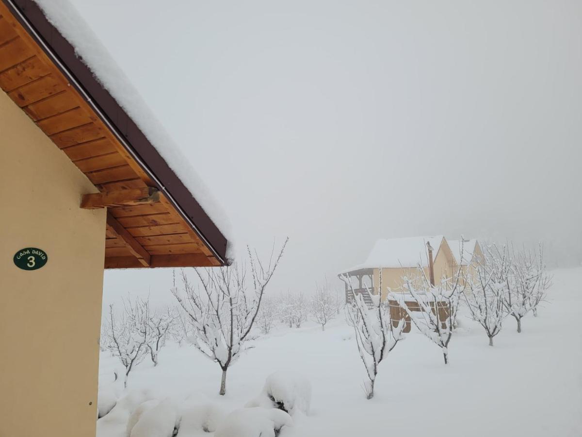 Casa David Villa Plai  Eksteriør billede