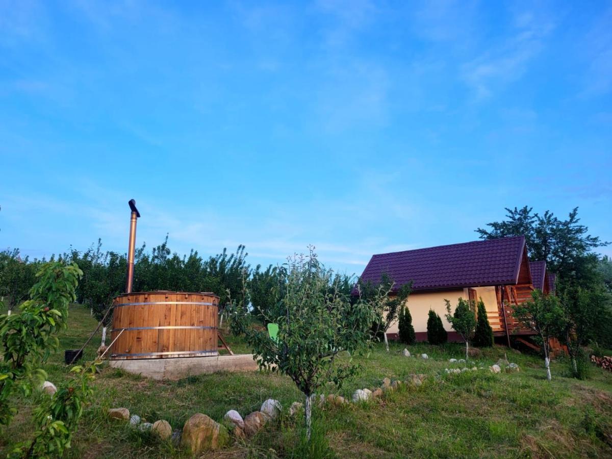 Casa David Villa Plai  Eksteriør billede